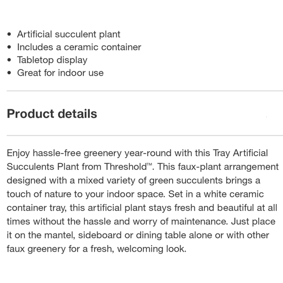 Threshold NWT 6.5" Tray Succulents Artificial Plant Ceramic Pot - Indoor/Outdoor - Picture 5 of 6